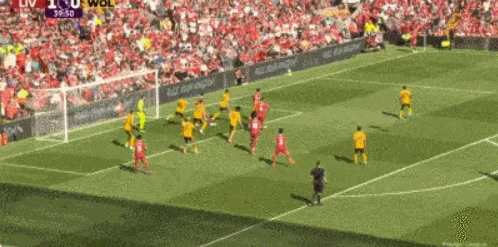 1716139836514882.gif 3.gif