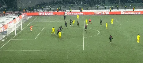 1734026189280560.gif 5.gif